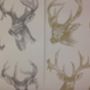 Stags Head Wallpaper, thumbnail 2 of 8