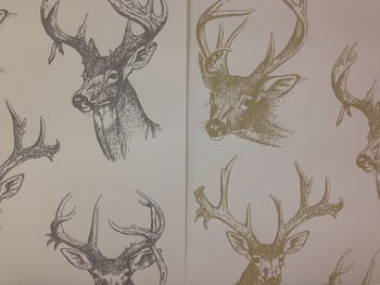 Stags Head Wallpaper, 2 of 8