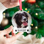 Personalised Ornament Dog Memorial Bauble, thumbnail 1 of 6