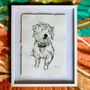 Personalised Pet Illustration In Watercolour, thumbnail 4 of 10
