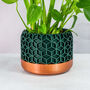 Forest Honeycomb Planter, thumbnail 1 of 4
