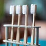 'Months' Year's Supply Bamboo Toothbrushes, thumbnail 1 of 6