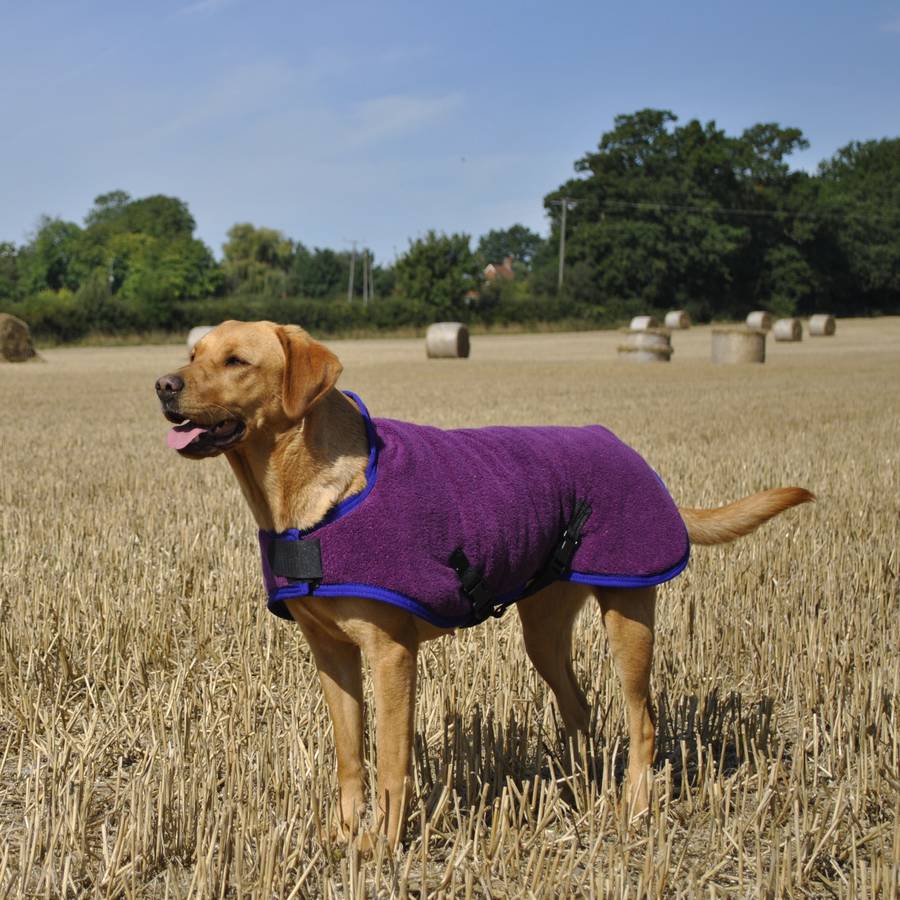 towelling dog coats by annrees