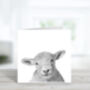 Bootes The Lamb Luxury Blank Greeting Card, thumbnail 2 of 2