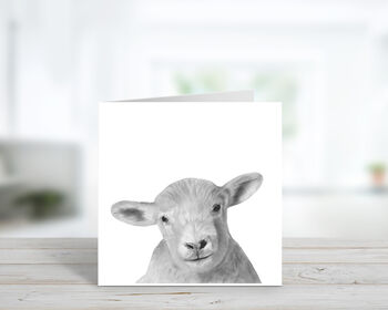 Bootes The Lamb Luxury Blank Greeting Card, 2 of 2