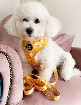 Sunshine Daisy Dog Harness, 3 of 8