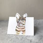 Pop Up Cat Cards, thumbnail 8 of 10