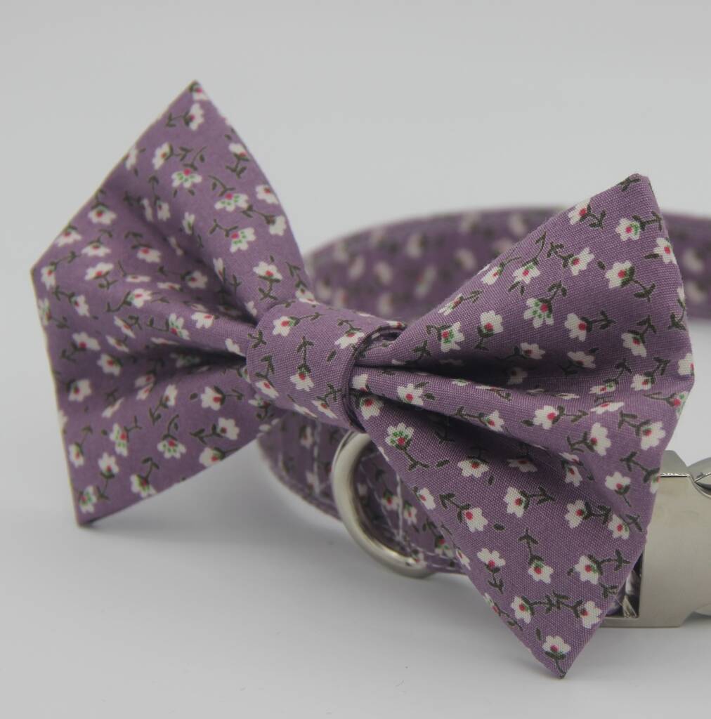 Purple Ditsy Daisy Dog Bow Tie, 1 of 5