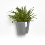 Ecopots Amsterdam Wall Pot Made From Recycled Plastic, thumbnail 3 of 8