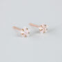 Rose Gold Colour Sterling Silver Crystal Star Stud Earrings, thumbnail 1 of 5