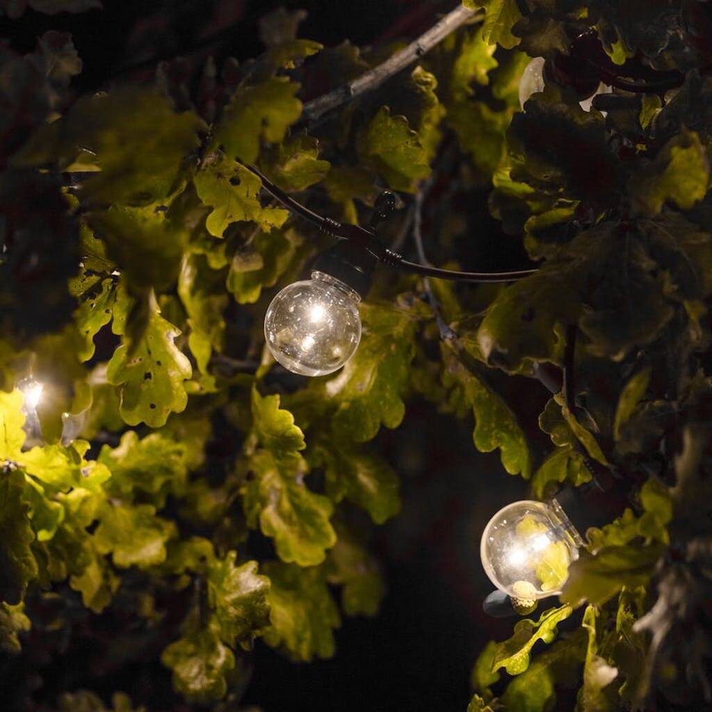 Festoon Garden Lights By Idyll Home | notonthehighstreet.com