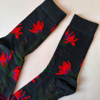 Pick Your Favourite Plant And Animal Socks In A Box, 11 of 11