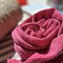 The Signature Alpaca Scarf, thumbnail 11 of 12