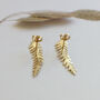 Gold Plated Fern Stud Earrings, thumbnail 2 of 9
