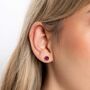 Gold Plated Sterling Silver February Amethyst Birthstone Stud Earrings, thumbnail 1 of 6