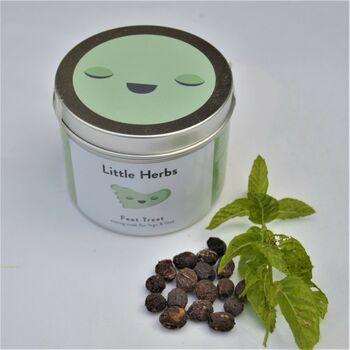 Pregnancy Essentials Nature's Skincare By Little Herbs, 2 of 6