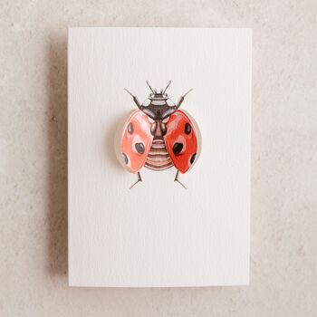 Ladybird Pop Out Watercolour Card, 2 of 2