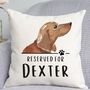 Reserved For Dachshund Cushion, thumbnail 1 of 2