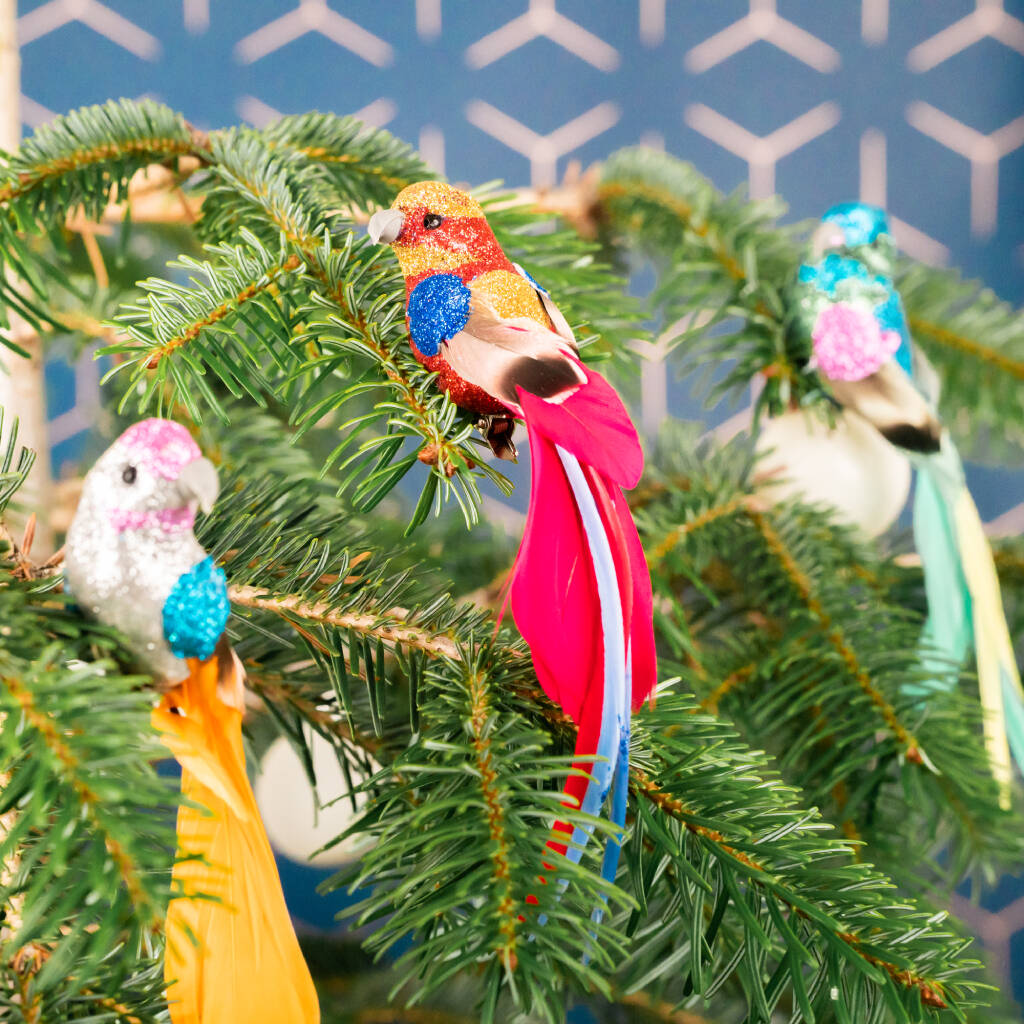 Set Of Three Multi Coloured Clip On Bird Decorations By Posh Totty