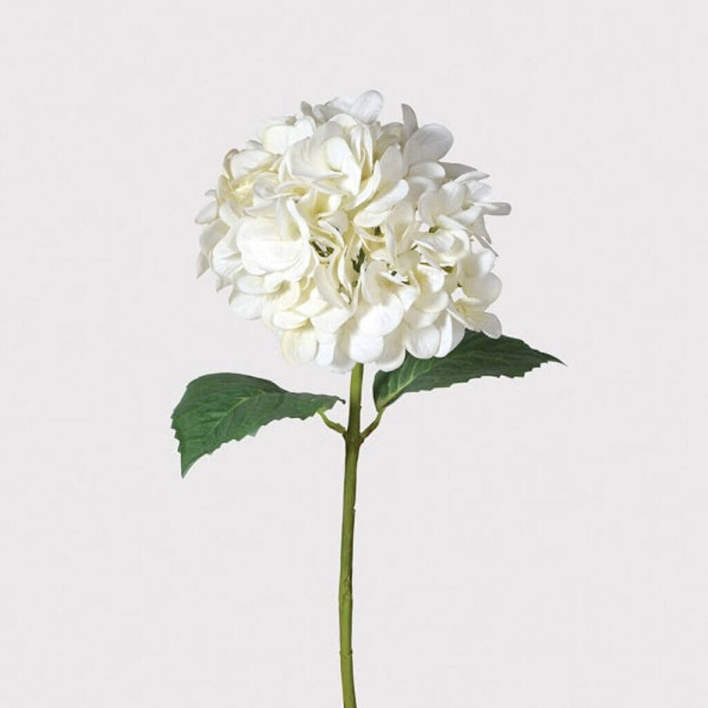 Faux White Hydrangea By Victoria & Co.