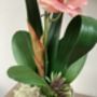 Large Peach Artificial Silk Orchid, thumbnail 4 of 7