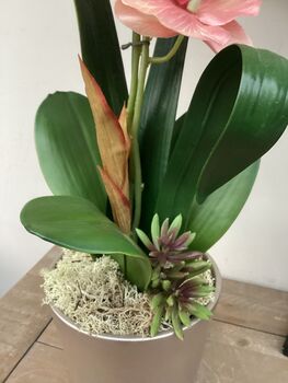 Large Peach Artificial Silk Orchid, 4 of 7