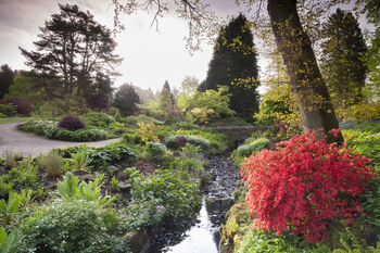 Entrance To R.H.S Garden Harlow Carr For Two, 10 of 11