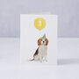 Beagle 3rd Birthday Card, thumbnail 3 of 3