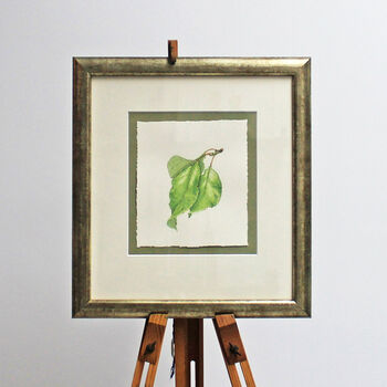 Botanical Watercolour With Plum Leaves Illustration, 2 of 3