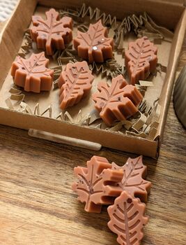 Twilight Woods Autumnal Wax Melts With Woody Scent, 3 of 7
