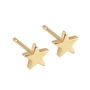 Little Solid Gold Star Studs, thumbnail 2 of 7