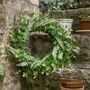 Enchanting Evergreen Deluxe Giant Wreath, thumbnail 3 of 6