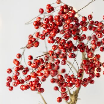 Red Berry Wooden Garland, 3 of 4