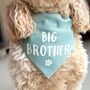 Big Brother Dog Bandana, thumbnail 1 of 7