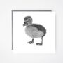 Naos The Baby Duck Greeting Card And Envelope, thumbnail 1 of 4