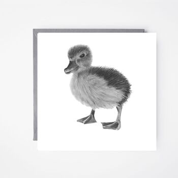 Naos The Duckling Wildlife Greeting Card, 2 of 9