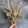 Natural Dried Flower Bouquet, thumbnail 1 of 4