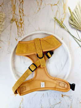 Mustard Yellow Cord Dog Harness, 4 of 5