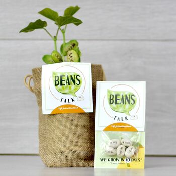 Pack Of Five Message Beanstalk Seeds, 9 of 9