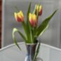 Porcelain Small Vase, thumbnail 2 of 6