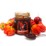 Scotch Bonnet Chilli Jam, thumbnail 1 of 4