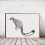 Ring Tailed Lemur Giclée Art Print, thumbnail 1 of 3