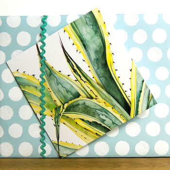 Mixed Botanicals Greetings Card Pack One, 4 of 8