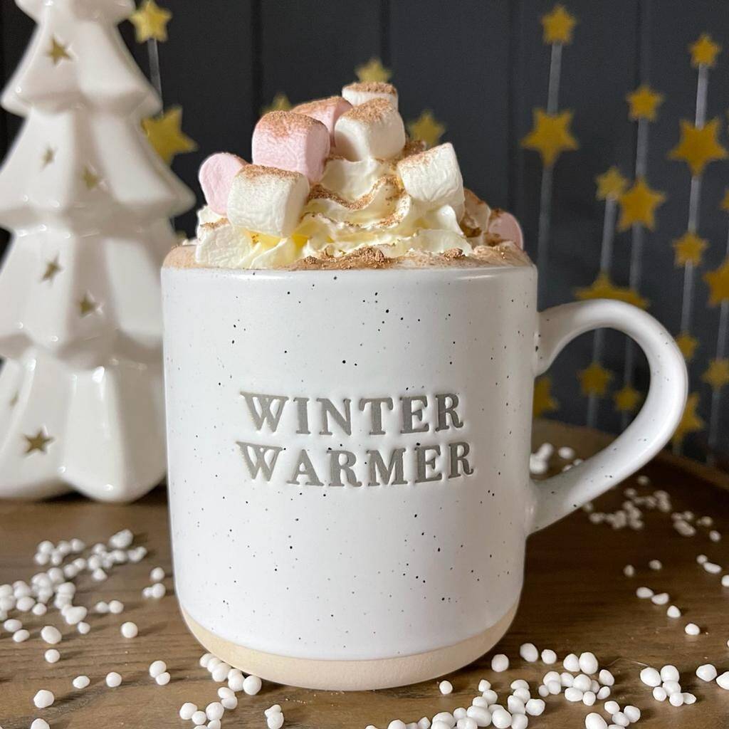 Christmas Mug 'Winter Warmer' By Nest Gifts