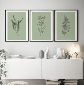 Floral Set Of Three Line Art Botanical Prints, 6 of 12