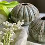 Glazed Ceramic Sea Urchin Bud Vase Set, thumbnail 9 of 10
