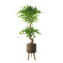 Seagrass Style Composite Planter With Stand, thumbnail 1 of 10
