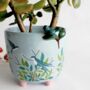 Gift Boxed Secret Garden Bird Planter, thumbnail 1 of 4