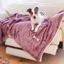 Personalised Pet Blanket With Design, thumbnail 11 of 12