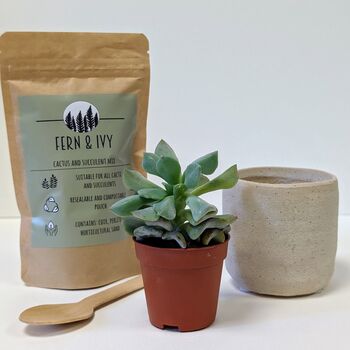 Plant Your Own Succulent Kit With Lamon Pot, 2 of 5